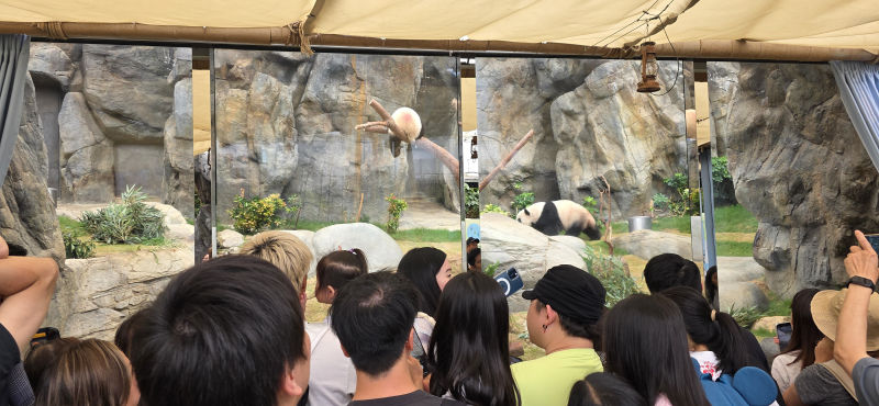 disney-oceanpark 사진